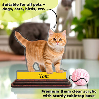 Custom Dog Caricature for Pet Owners with Name