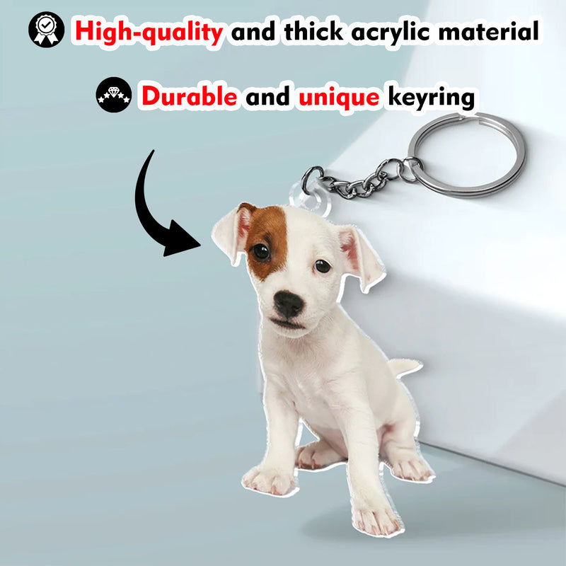 Acrylic Pet Keychain with Pet Image.