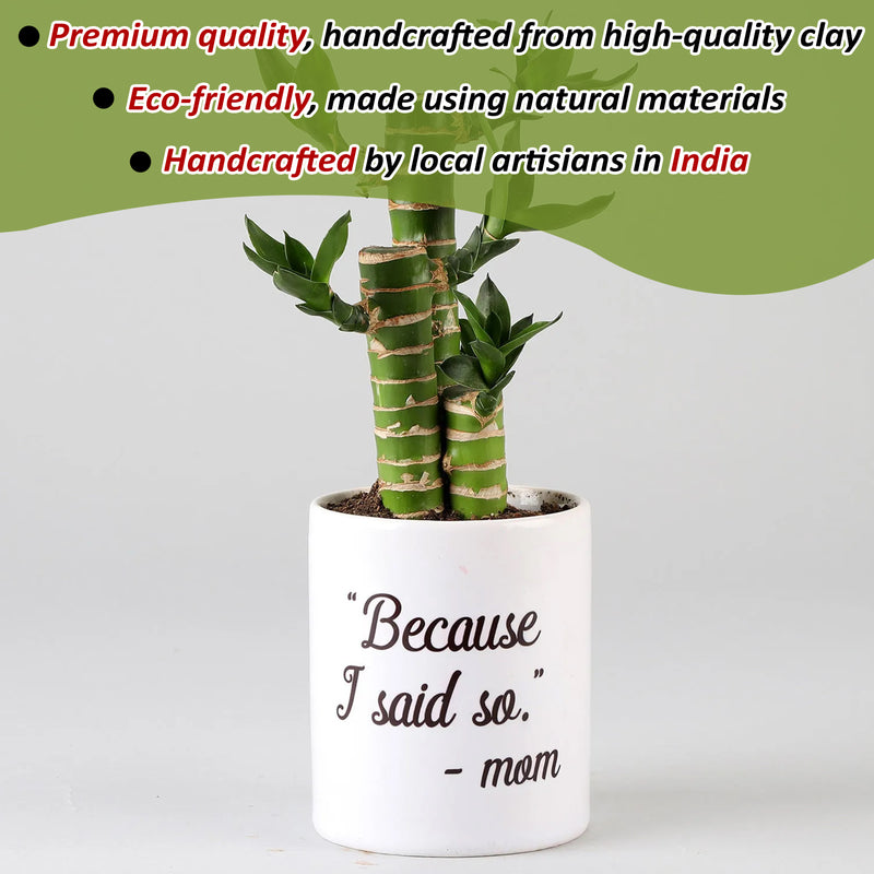 Custom Small Plant Pot with Unique Photos or Designs