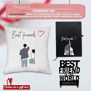 Friendship Combo Set- Cushion, Acrylic Stand, and Black Leather Diary.