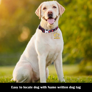 Custom Dog Name Tags.