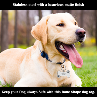 Custom Dog Name Tags.